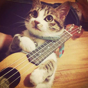 与朋友高级会所操富婆
